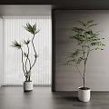 Modern Bonsai Plants in Stylish Interior with White Pots Window Blinds and City View