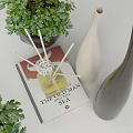 Potted Bonsai Plants With Lush Green Foliage And Decorative Books Vases