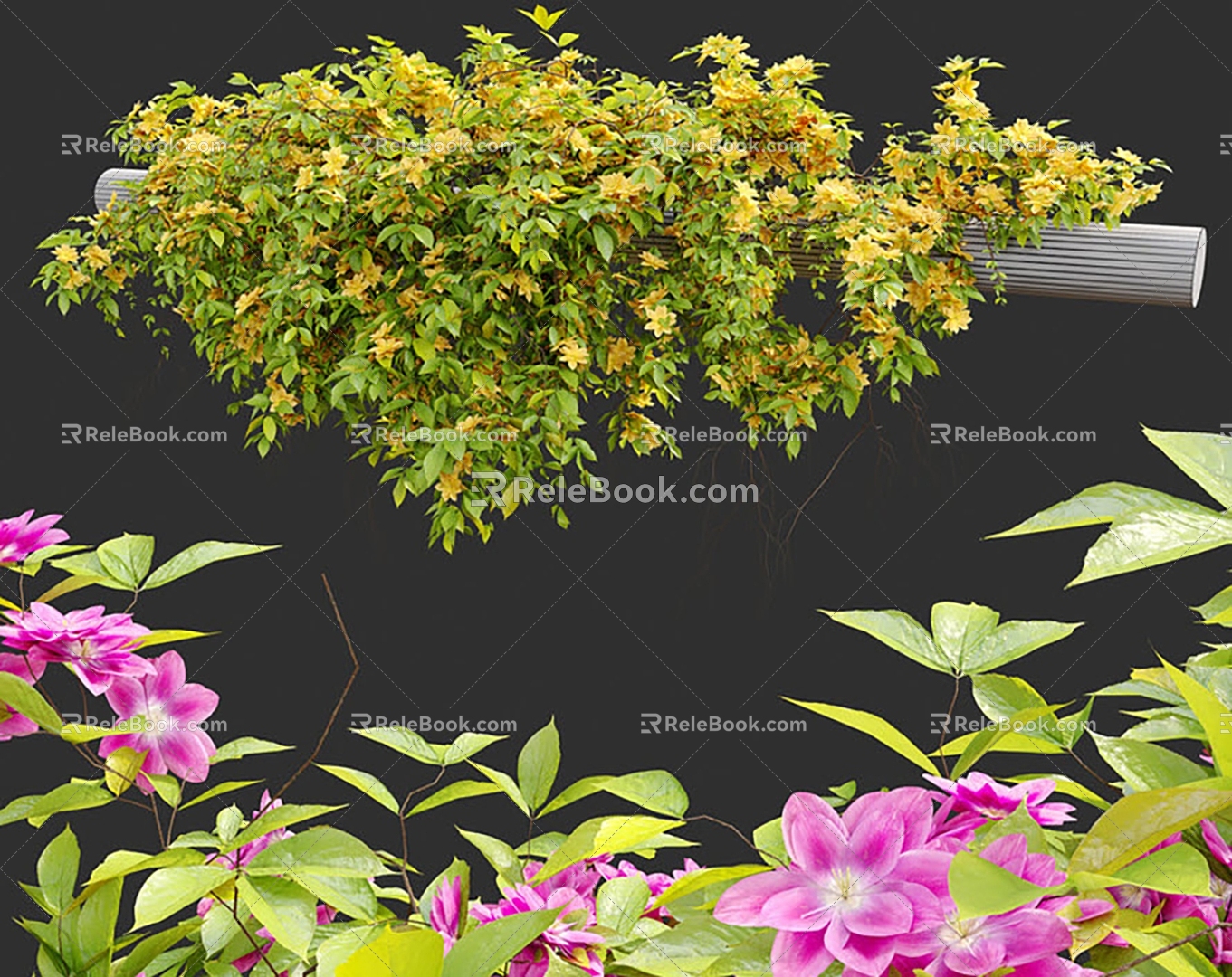 hanging plant vine flowers and plants hanging orchid 3d model