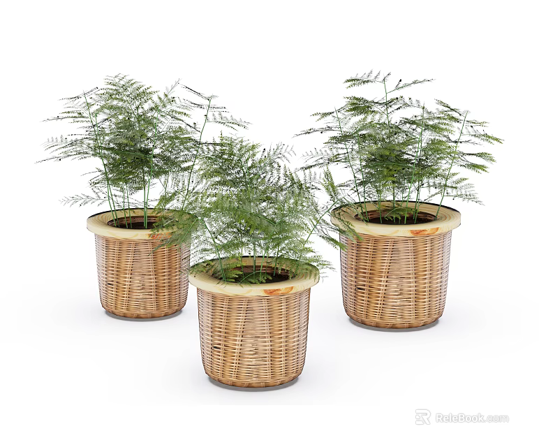 Bonsai Potted Plants with Lush Green Foliage in Woven Basket Planters for Indoor Decor 3d model 