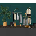 Clothes Rack With Hanging Clothes Large Leaf Plant And Bag In Dark Green Decorative Room