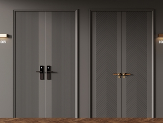 Modern double door 3d model