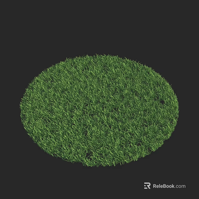 Lush Green Grass Round Lawn Patch Isolated On Black Background With Natural Texture 3d model