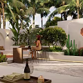 Tropical Garden Landscape Featuring Palm Trees Sun Design Wall Spa Pool and Green Plants