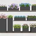 Various Colorful Potted Plants On Multi Tiered Wooden Shelves With Black Pots