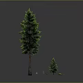 Cartoon Scene With Tall And Small Pine Trees Little People Green Grass And Yellow Flowers