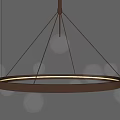 Modern Chandelier With Metal Ring And Illuminated Transparent Spherical Glass Bulbs