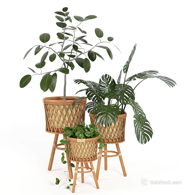 Bonsai Potted Plants in Bamboo Baskets with Various Sizes on Wooden Stands for Indoor Decor 3d model 