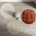 Modern Round Carpet 3d model