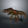 Realistic 3D Modeled Lobster In Standing Pose With Detailed Claws And Textured Shell