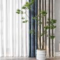 Modern Interior With Navy Blue Light Gray Curtains Sheer Panels And Green Plants
