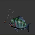 Colorful Fish With Green Blue Scales Big Eyes Bubbles Red Bait Fishhook And Dark Background