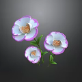 Three White Flowers With Pink Edges Green Stems And Leaves On Dark Background