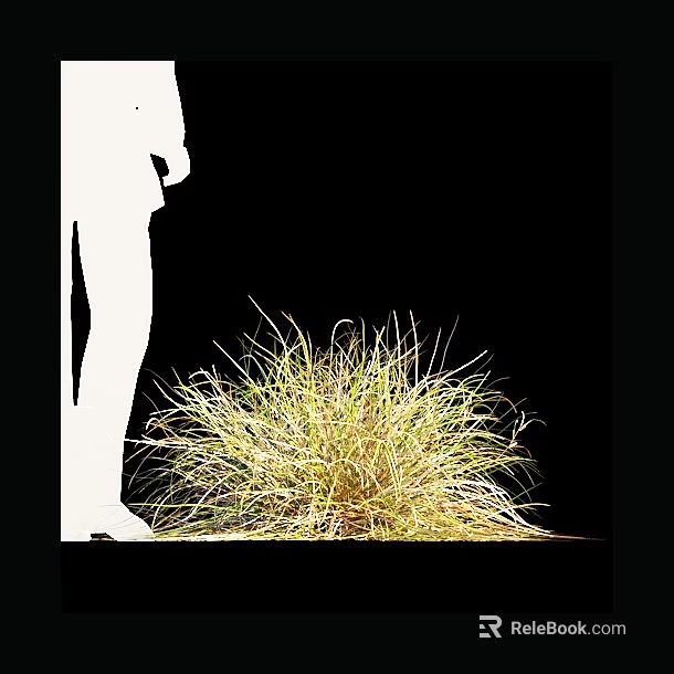 White Silhouette Figure Standing Near Clump of Yellow Grass on Black Background 3d model 