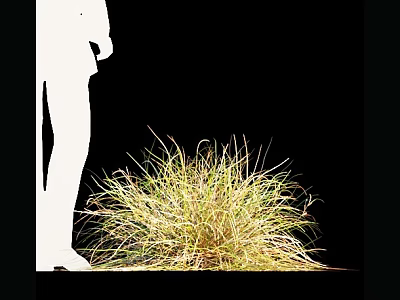 White Silhouette Figure Standing Near Clump of Yellow Grass on Black Background 3d model
