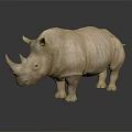 Light Brown Rhino Standing on Dark Reflective Surface with Smooth Skin 3d model