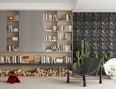 Modern bookcase 3d model