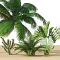 Tropical Trees Collection Featuring Palm Ferns Cactus And Green Foliage On Wooden Floor