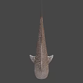 Whale Shark Swimming In Blue Ocean Water With White Spots On Body