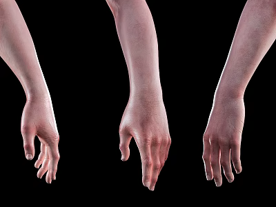 Male Arms And Hands In Different Poses Against Black Background 3d model