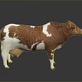 Brown And White Cow Standing On Reflective Surface With Gray Background