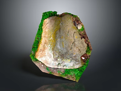 Natural Wood Stone With Green Moss Natural Texture And Color Variations 3d model