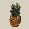 Fresh Ripe Pineapple With Green Leafy Crown And Golden Brown Textured Skin