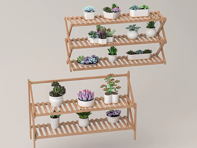 Colorful Succulent Plants in White Pots on Wooden Multi Tiered Shelves 3d model