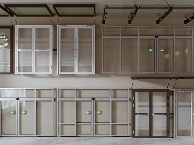 Various Styles Of Doors And Windows Display With Glass Panels And Frames 3d model