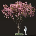 Beautiful Arbor Featuring Pink Blossoms And White Statue On Green Lawn Area