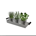 Indoor Decorative Fresh Green Potted Plants in White Wooden Tray with Handles