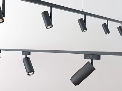 Contemporary Black Track Mounted Downlights And Spotlights For Ceiling Lighting Design 3d model