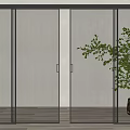 Modern Glass Sliding Doors with Black Frame and Indoor Plant Interior