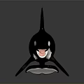 Orca Aquatic Animal With Black And White Coloration Dorsal Fin And Open Mouth