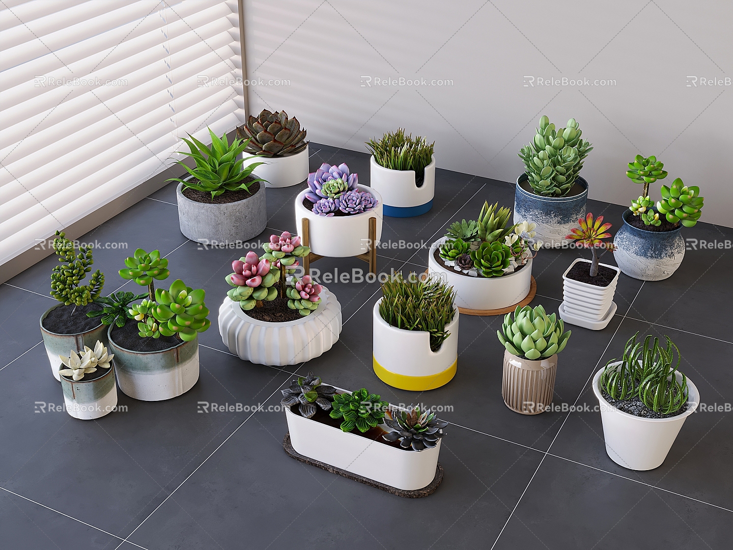 succulent potted plant combination tabletop green plant succulent potted plant 3d model