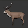 Low Poly Deer 3D Model With Large Antlers Brown Body And White Belly