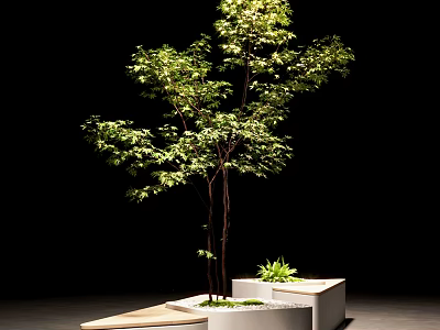 Urban Road Facilities Featuring Wooden Platform With Planters And Greenery Tree 3d model