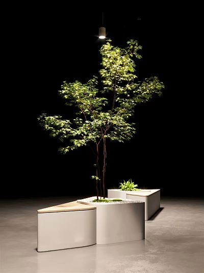 Urban Road Facilities Featuring Wooden Platform With Planters And Greenery Tree 3d model