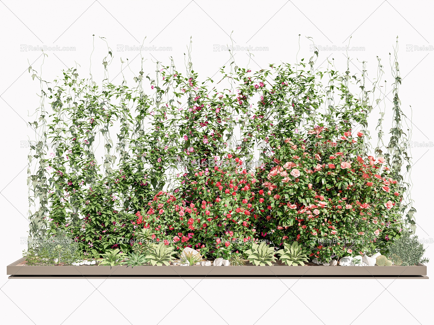 Plant combination Rose Rose Vine Plant Climbing Vine Green Plant Flower Wall Flower Pond Rose Parthenocissus 3d model