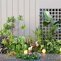 Lush Mixed Plant Combination With Large Leaf Plants Small Shrubs Rocks And Glowing Spherical Lights