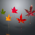 Modern Maple Leaf Red Maple Leaf 3d model