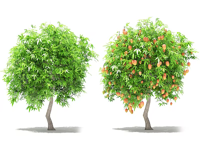 Two Arbor Trees Showcasing Lush Green Leaves and Fruit Laden Branches 3d model