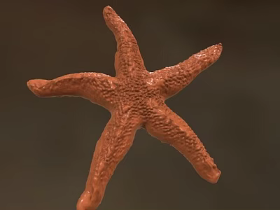 Orange Textured Starfish With Detailed Surface And Marine Life Features 3d model