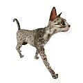 Modern Cat Cat Walking Living Room Decorative Toys 3d model