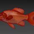 Vibrant Orange And Red Goldfish With Shiny Scales In Aquarium Tank Environment 3d model