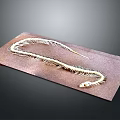 Detailed Snake Skeleton Exhibit Placed on a Brown Wooden Board Surface