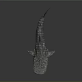 Whale Shark Featuring Spotted Skin And Streamlined Body In Marine Habitat