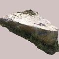 Natural Stone and Wood Elements in Outdoor Setting with Green Moss and Grass