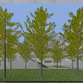 Modern School Building Complex With Campus Green Areas And Sports Field