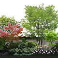 Flower Beds and Flower Pots with Colorful Garden Flowers and Lush Green Plants